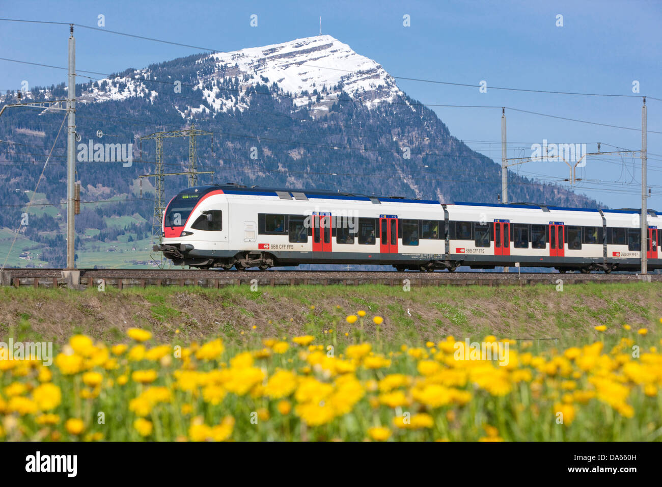 Regional train, Rigi, road, railway, train, railroad, mountain, mountains, flower, flowers, canton, SZ, Schwyz, central Switzerl Stock Photo