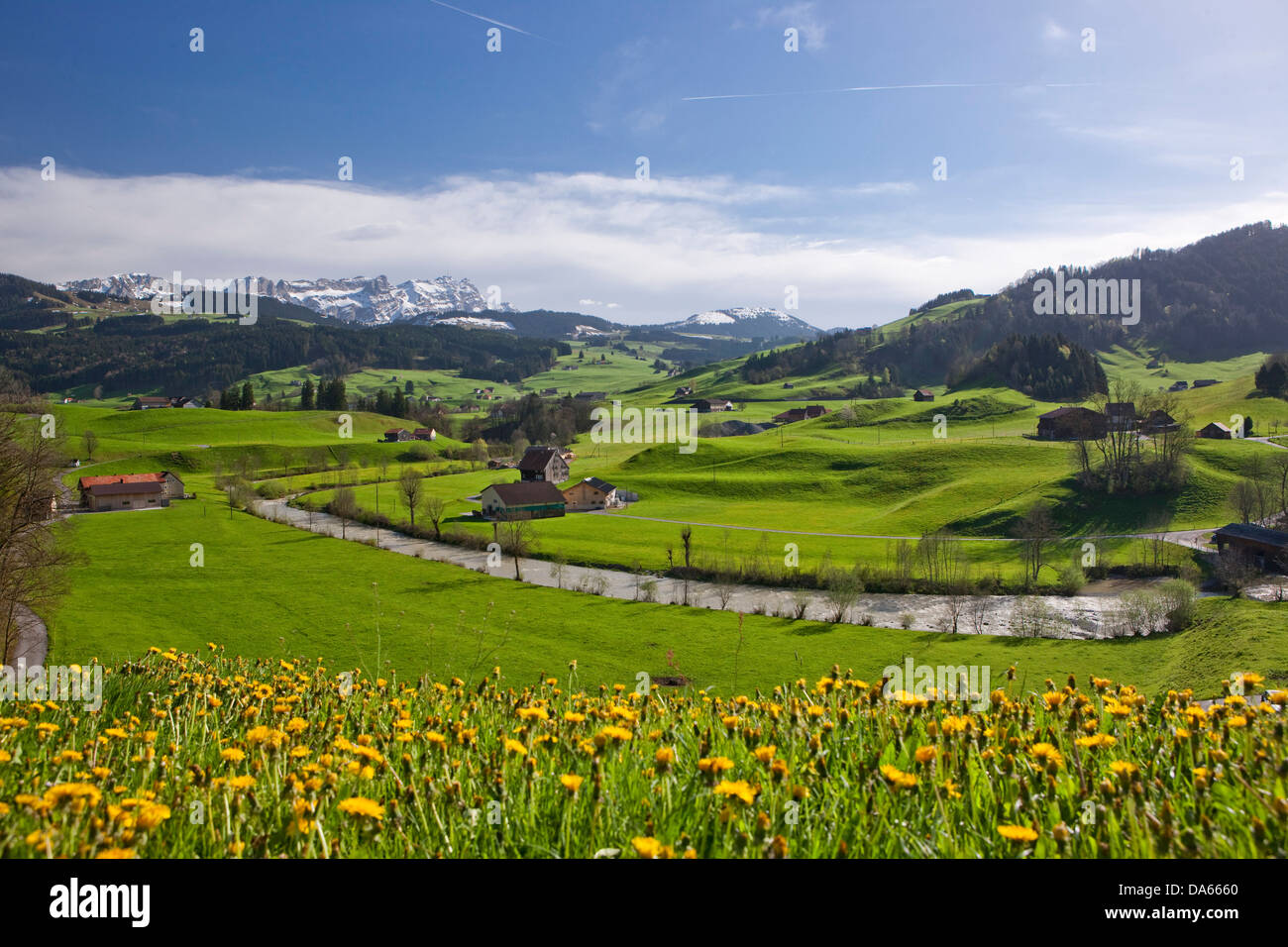 Man-made, Cultural, landscape, Appenzell area, Säntisblick, flower, flowers, spring, scenery, landscape, agriculture, Alpstein, Stock Photo