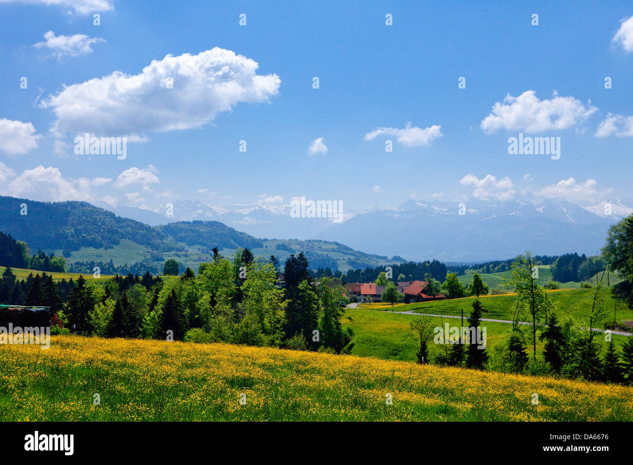 Gibswil, Tösstal, canton, ZH, Zurich, Switzerland, Europe, scenery, landscape, hill, spring Stock Photo