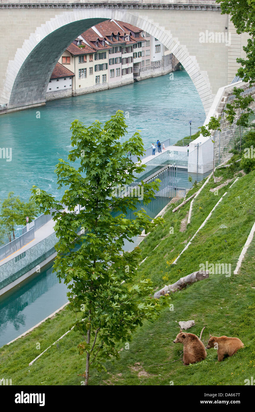 Bear pit, Aare, Bern, canton, Bern, animals, animal, zoo animal park, bear, bears, Switzerland, Europe, town, city, Stock Photo