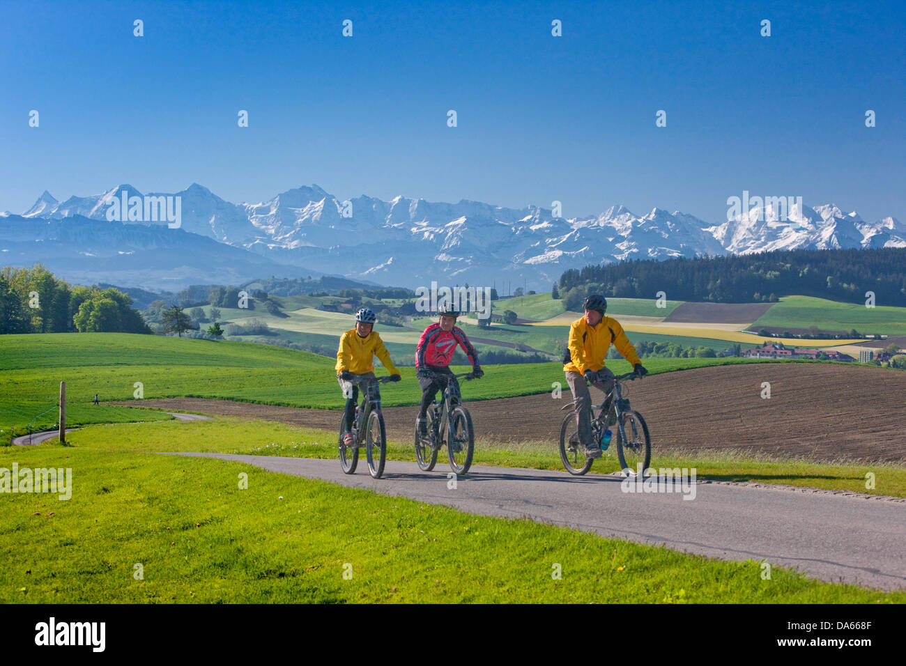 Biker, Gurten, mountain, mountains, bicycle, bicycles, bike, riding a bicycle, summer sport, sport, spare time, leisure, adventu Stock Photo