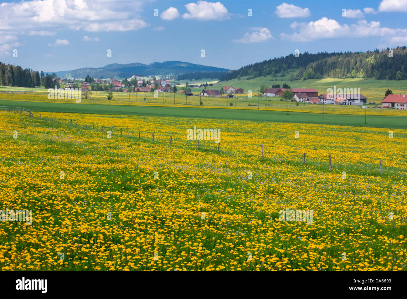 La Chaux-du-Milieux, canton, NE, Neuenburg, Neuchatel, Jura, village, Switzerland, Europe, Le Locle, spring, meadow Stock Photo