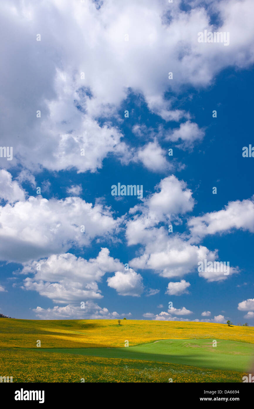 Field, La Chaux-du-Milieux, canton, NE, Neuenburg, Neuchatel, Jura, village, weather, clouds, cloud, agriculture, Switzerland, E Stock Photo