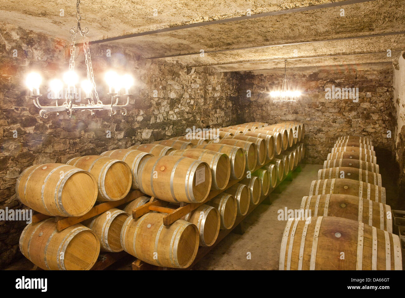 Vineyard, La Gatta, Tirano, wine, Italy, wine cellar, barrels Stock Photo