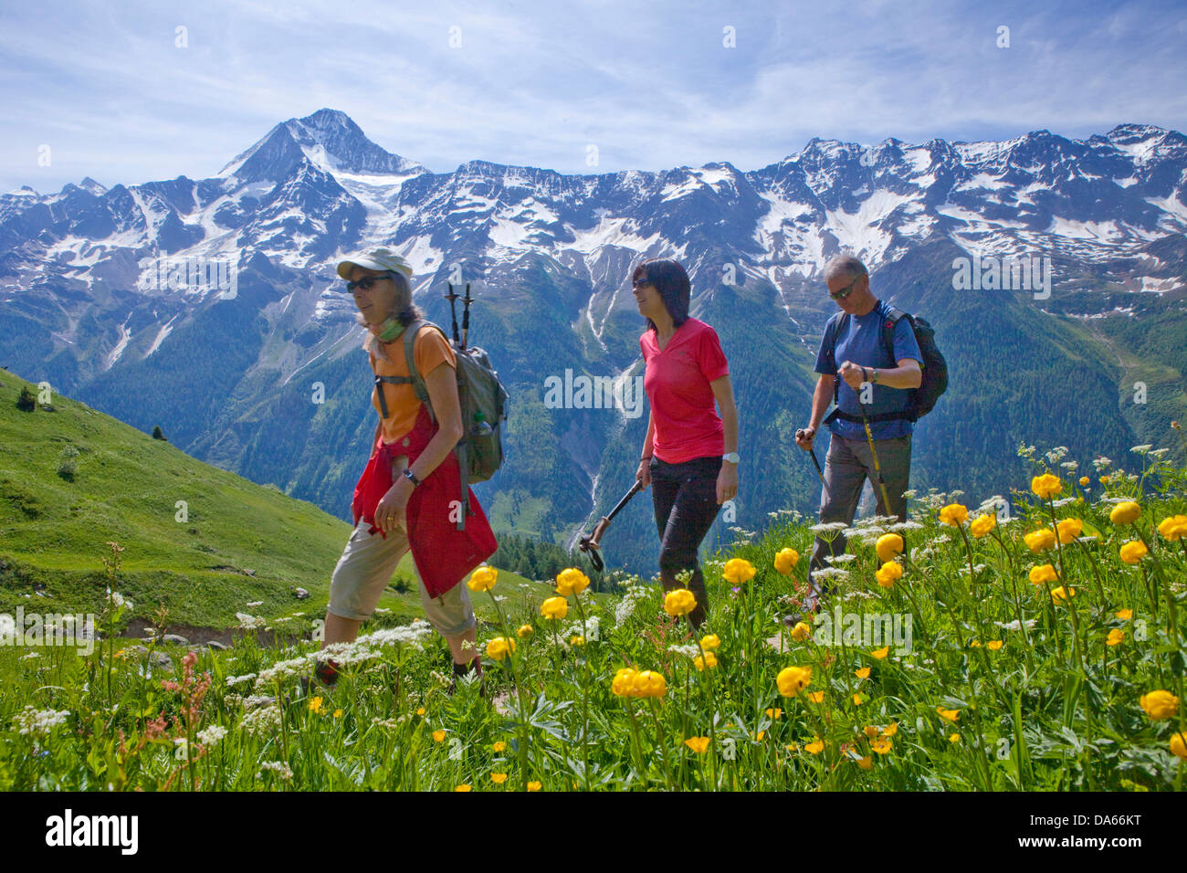 Walking, Hiking, Lötschentaler height way, height way, view, Bietschhorn, canton, Valais, mountain, mountains, group, footpath, Stock Photo