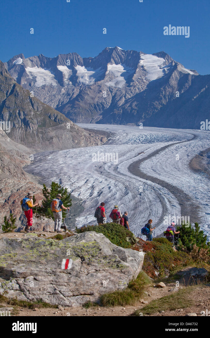 Tour, Aletsch, glacier, ice, glacier, ice, moraine, canton, Valais, walking, hiking, trekking, Switzerland, Europe, group, glaci Stock Photo