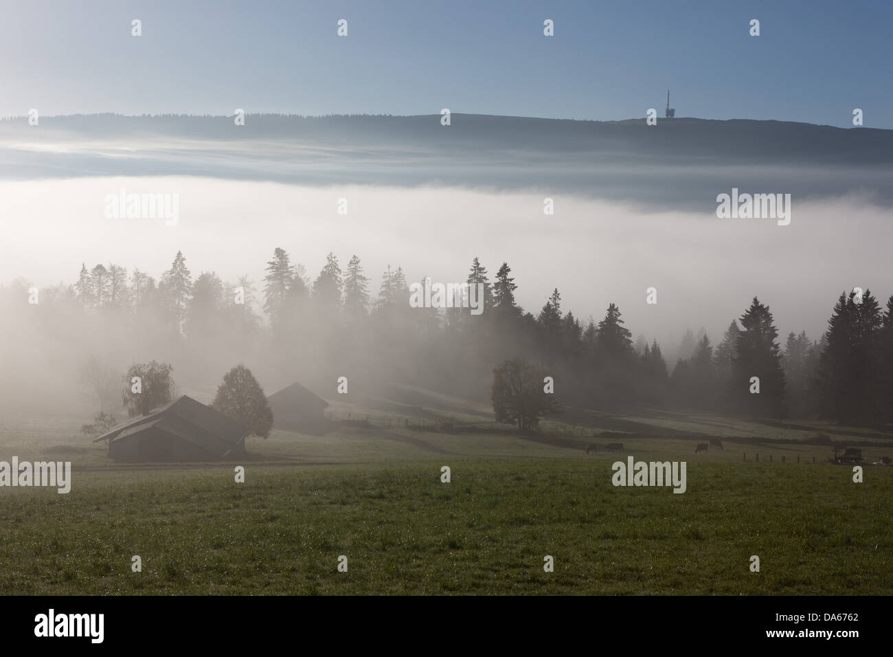 Mont Crosin, sea of fog, fog, Chasseral, agriculture, fog, sea of fog, fog, canton, Bern, JU, Jura, autumn, Switzerland, Europe, Stock Photo