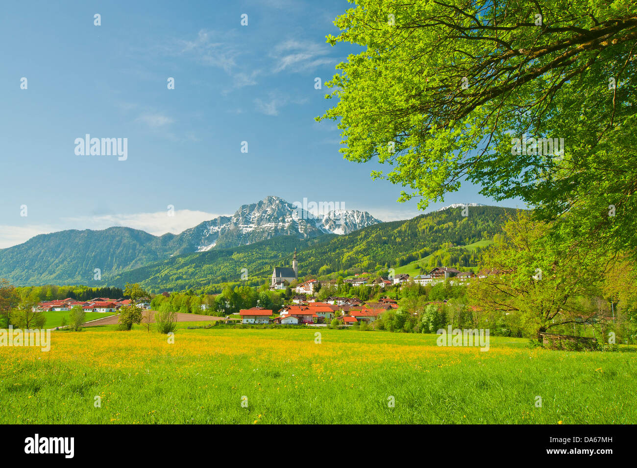 Germany, Europe, Bavaria, Upper Bavaria, Rupertiwinkel, meadow, village, Hochstaufen, Zwiesel, spring, agriculture, agrarian, fl Stock Photo