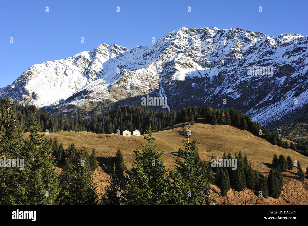 Rusticos, Forcala, San Bernardino, Alps, mountains, Piz de la Lumbreida, Piz Motton, Canton, Grisons, Switzerland Stock Photo