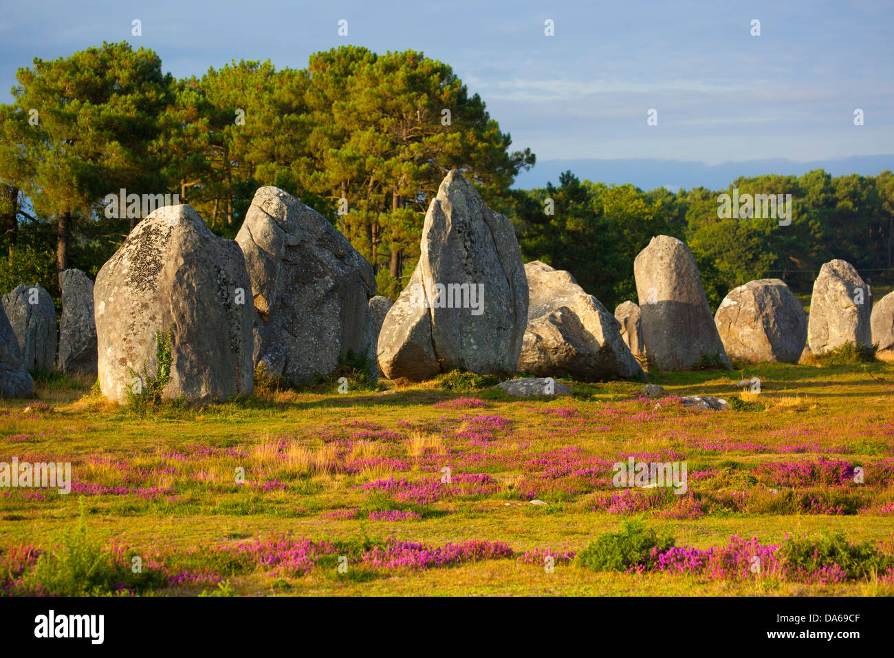 Alignements de Kermario, Kermario, Carnac, menhir, France, Europe, Brittany, department Morbihan, stone rows, megaliths, stones, Stock Photo