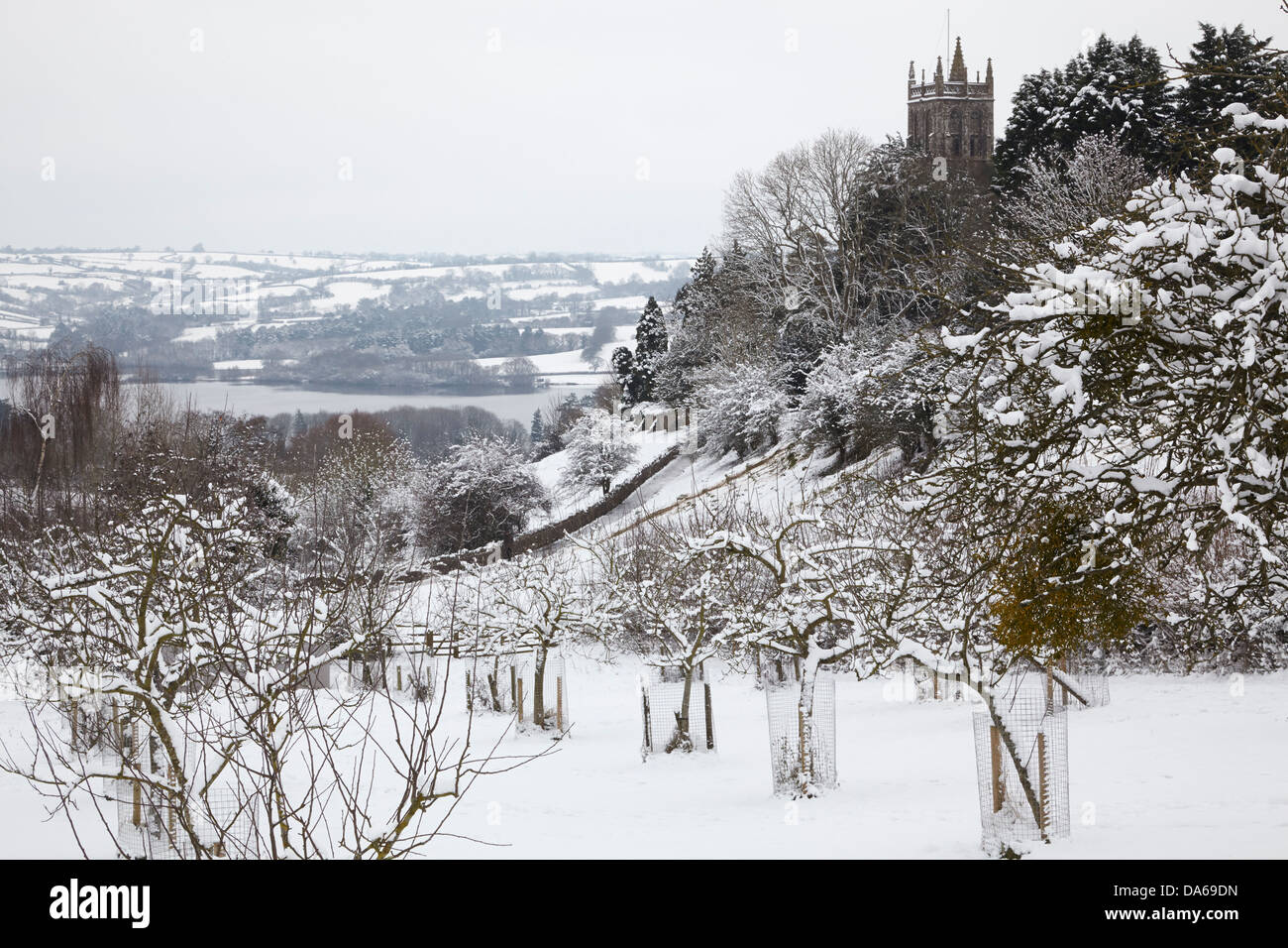 A wintery snowcovered view of an orchad and village church, in Blagdon