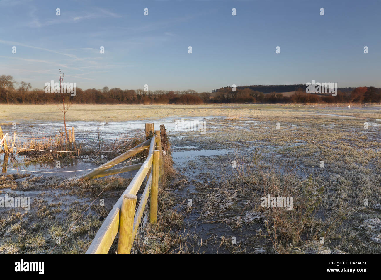 Frosty winter morning at Briantspuddle, nr Dorchester, Dorset, Great Britain. Stock Photo