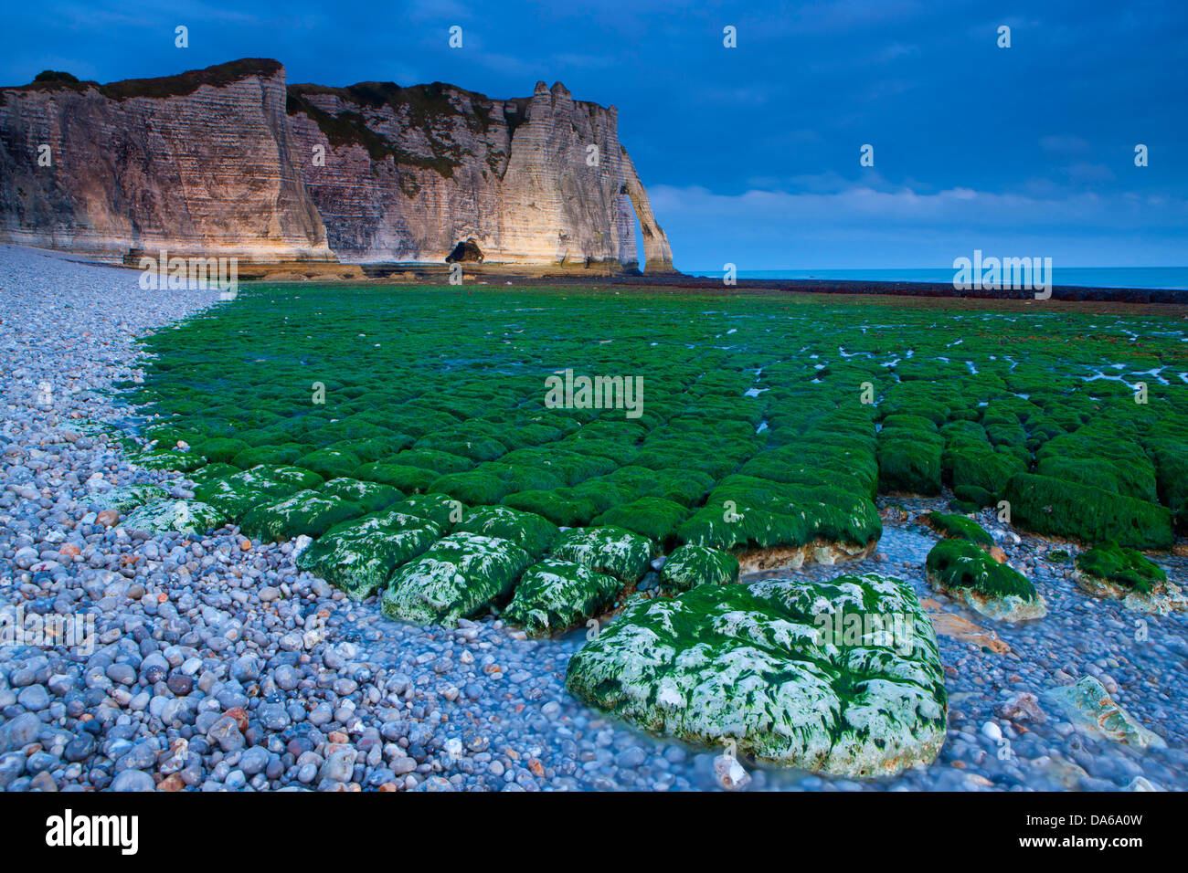 Etretat, France, Europe, Normandy, department Seine maritime, sea, coast, steep, chalk rock, gravel beach, rock, cliff, algae, l Stock Photo