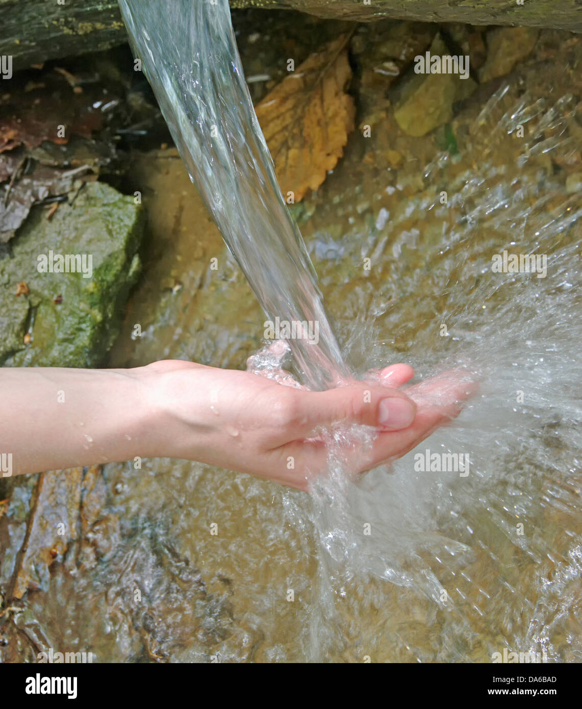 water flow in hands from Pure spring forest Stock Photo