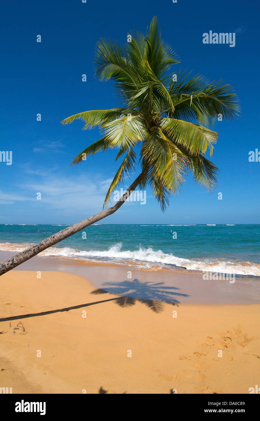 Puerto Rico, Caribbean, Greater Antilles, Antilles, Tres Palmitas Beach, Loiza, palm beach, palm beaches, sand beach, sand beach Stock Photo