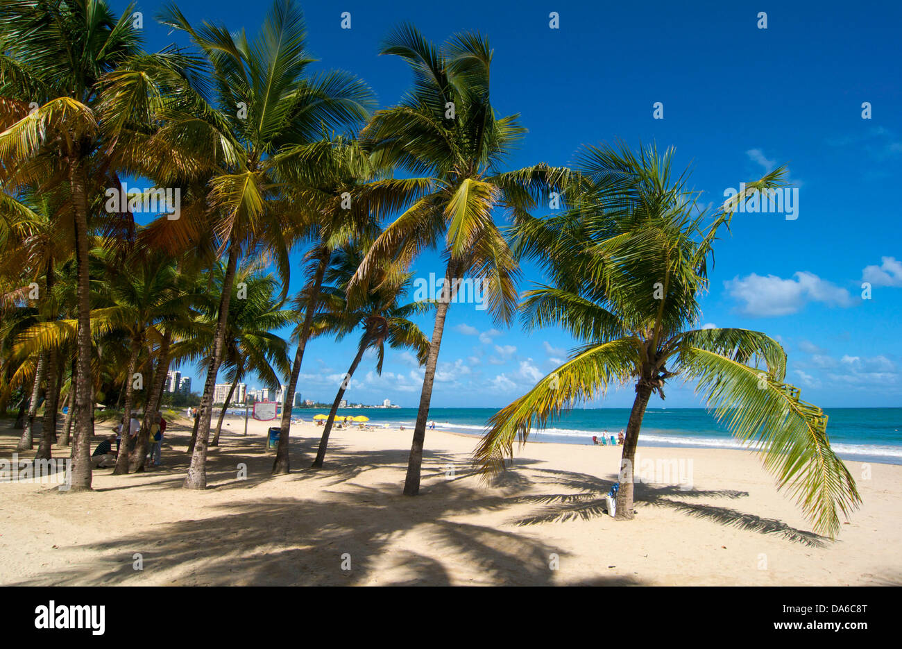 Puerto Rico, Caribbean, Greater Antilles, Antilles, San Juan, Isla Verde Beach, palm beach, palm beaches, sand beach, sand beach Stock Photo