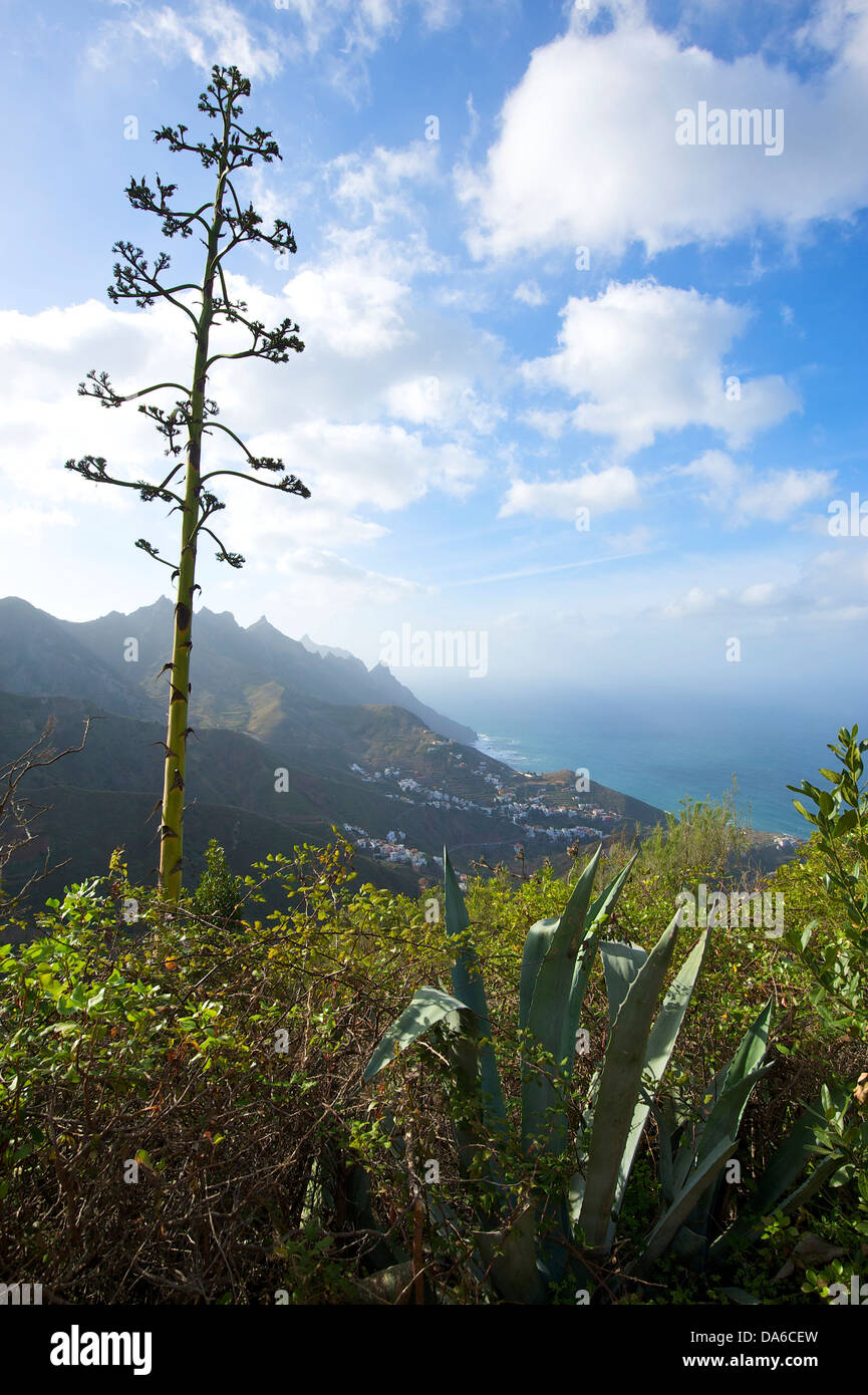 Tenerife, Teneriffa, Canaries, Canary islands, isles, Spain, Spanish, Europe, Taganana, Anaga, mountain landscape, mountain land Stock Photo