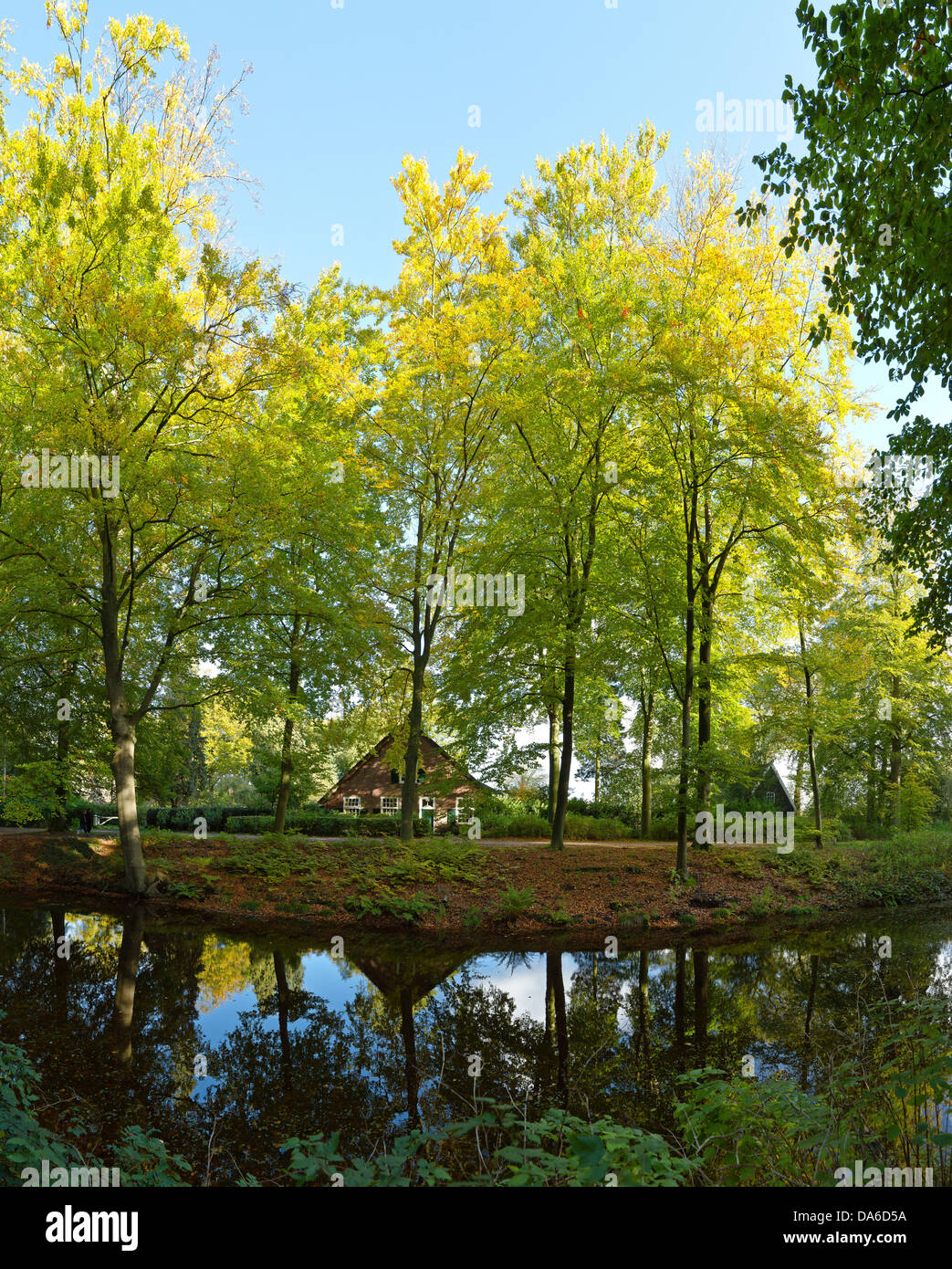 Holland, Netherlands, Europe, ‘s Graveland, Farmhouse, Corverbosch, country estate, farm, water, trees, autumn, reflections, Stock Photo