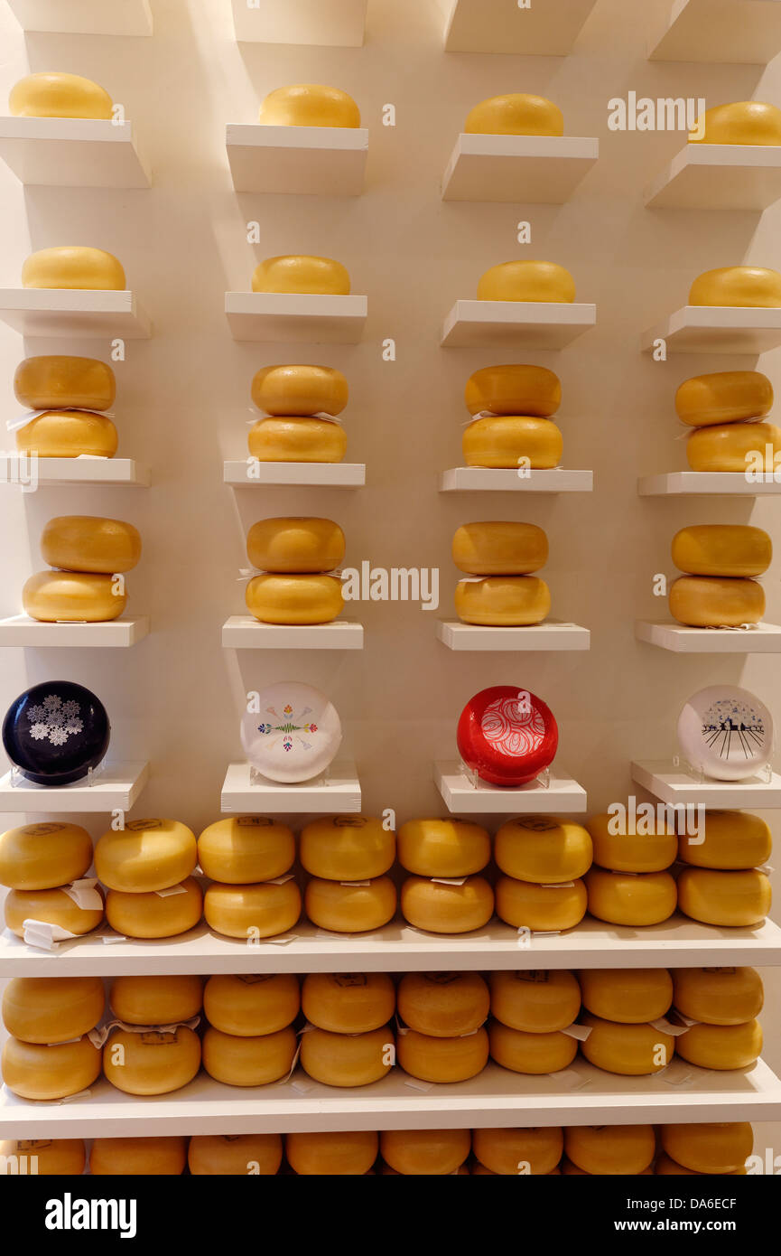 Selection of cheeses in wheels and wedges, cheesemonger shop display in