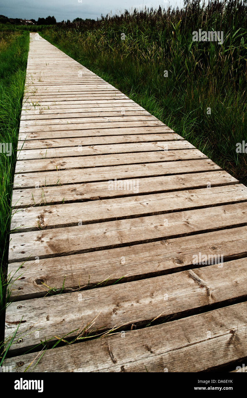 Portrait image of a wooden walkway in a rural part of Suffolk, England. Stock Photo