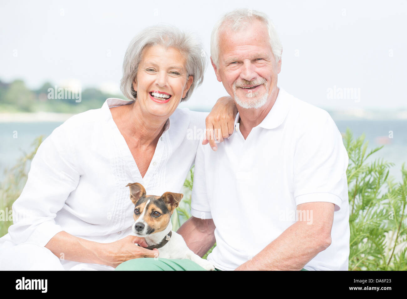 Smiling and actice senior couple with dog Stock Photo - Alamy