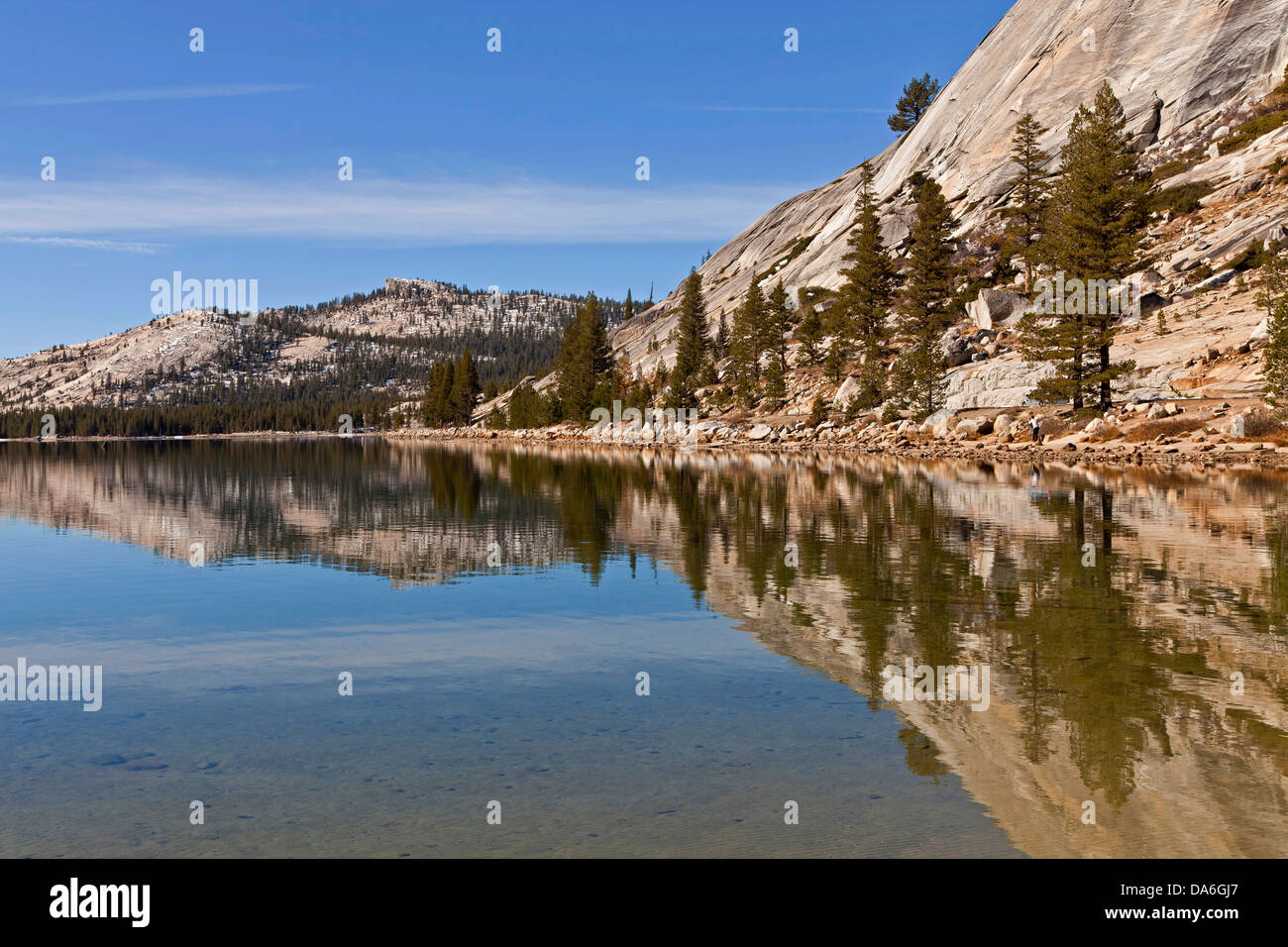 Conifers being reflected in Tenaya Lake Stock Photo