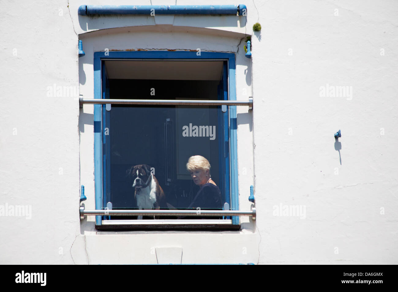 woman and dog looking out of window at Festival activities below at Poole in June Stock Photo