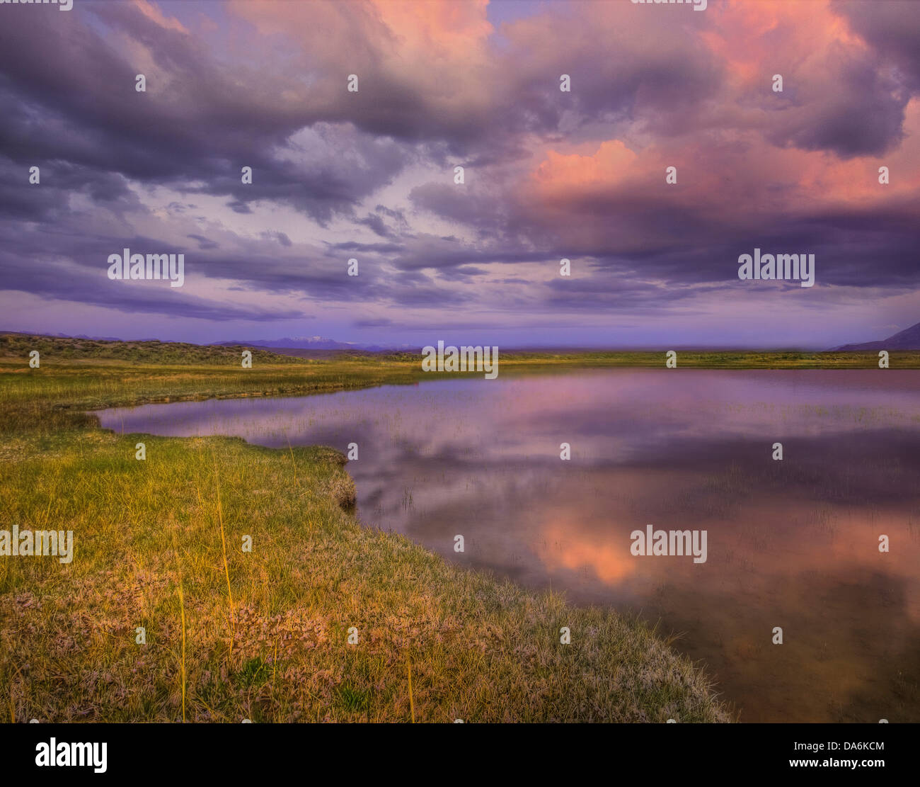 USA, United States, America, California, Mammoth, Alkali Flats, Eastern