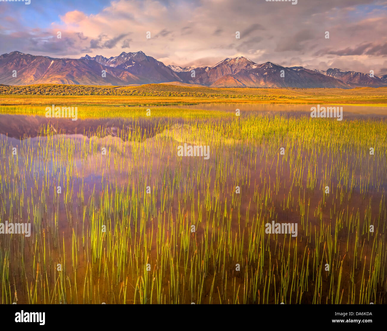 USA, United States, America, California, Mammoth, Alkali Flats, Eastern