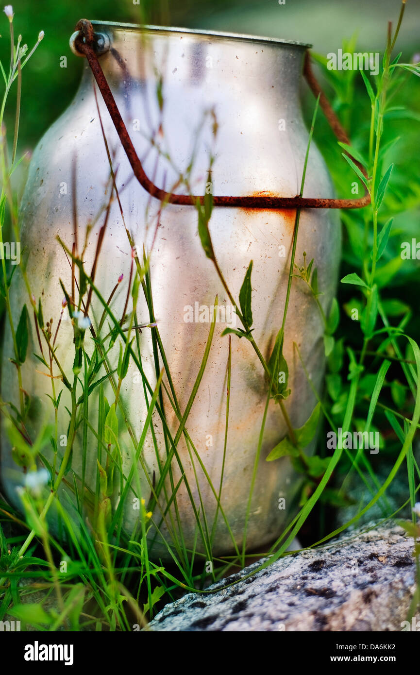 Close up of old milk canister in grass Stock Photo Alamy