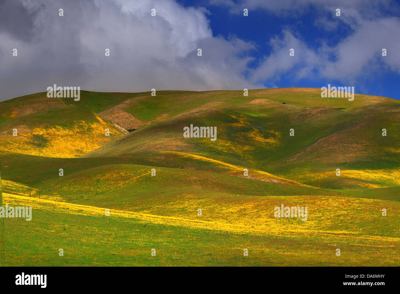 USA, United States, America, California, Tejon Pass, Central California