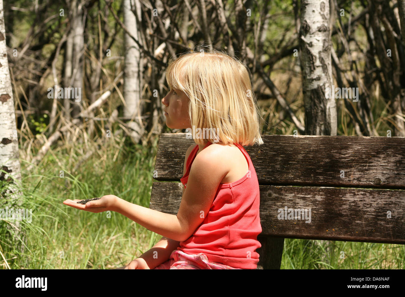 A young girl holding bird seed in a forest in spring in Winnipeg