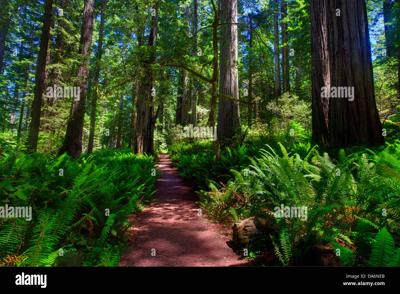 USA, United States, America, California, Crescent City, Northern California, Del Norte Coast