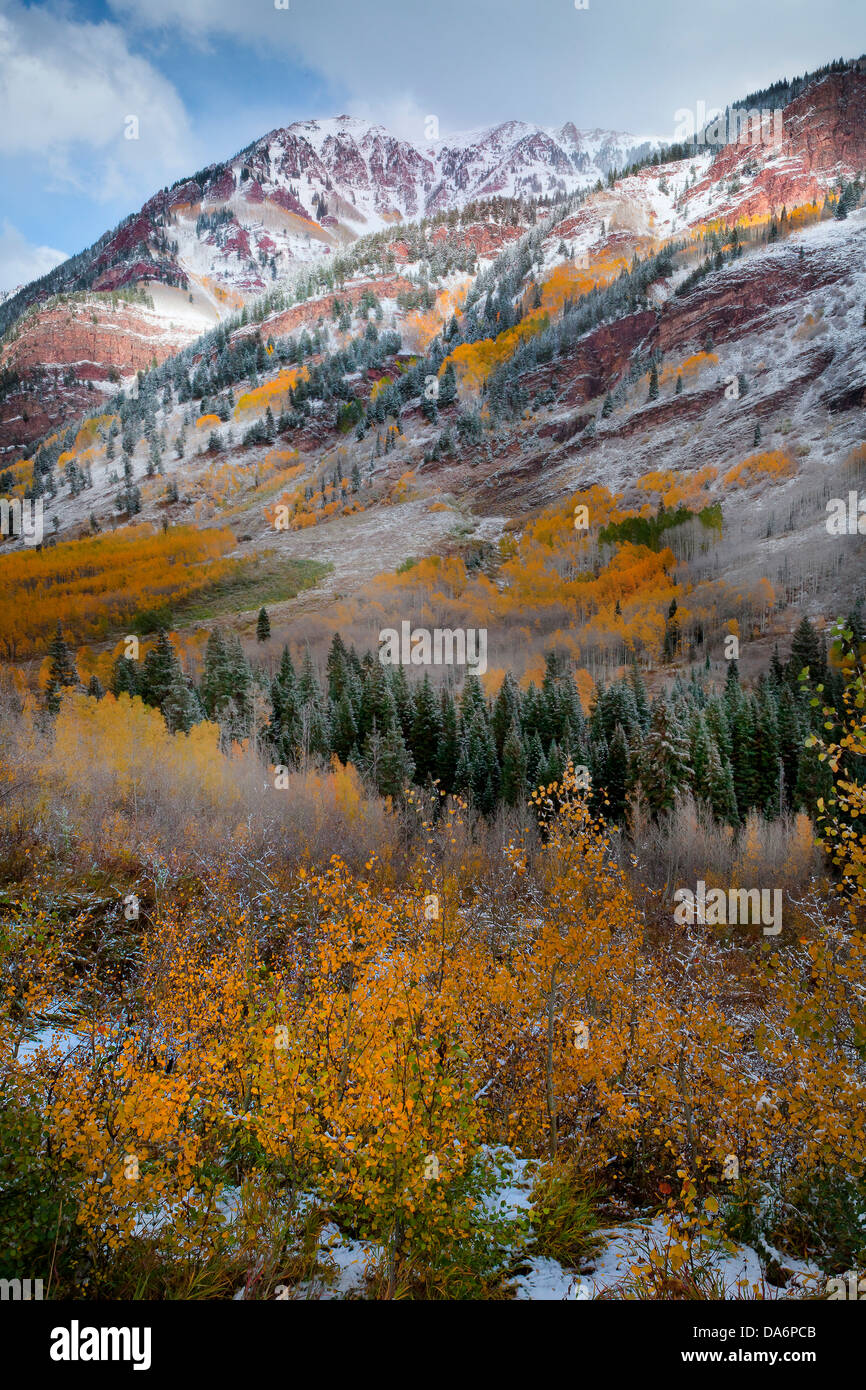 USA, United States, America, Colorado, Fall, Autumn, Trees, Fall Color, Mountain, hillside, aspen, snow Stock Photo
