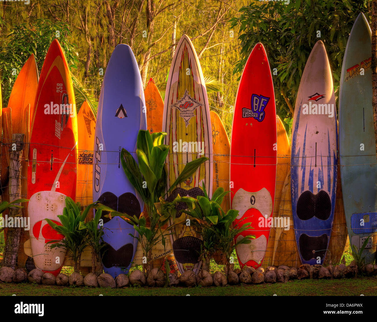 Hawaii surf boards hires stock photography and images Alamy