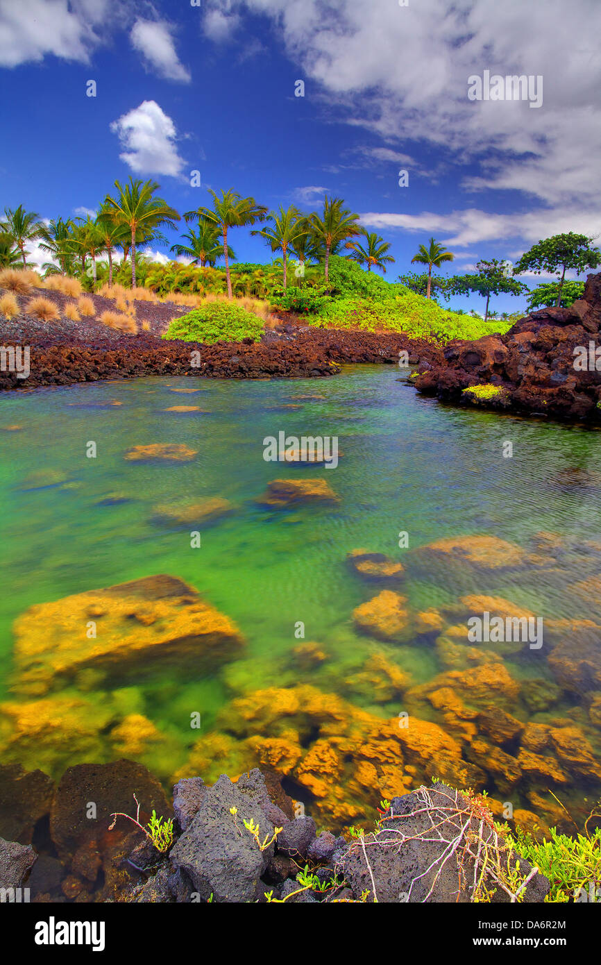 USA, United States, America, Hawaii, Big Island, Palm Trees, inlet ...