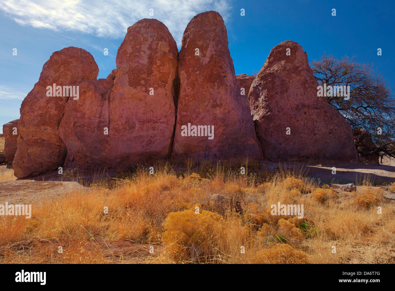 USA, United States, America, New Mexico, Deming, Southwest, American, City of Rocks, large rocks, rocks, boulders, rolly grass p Stock Photo