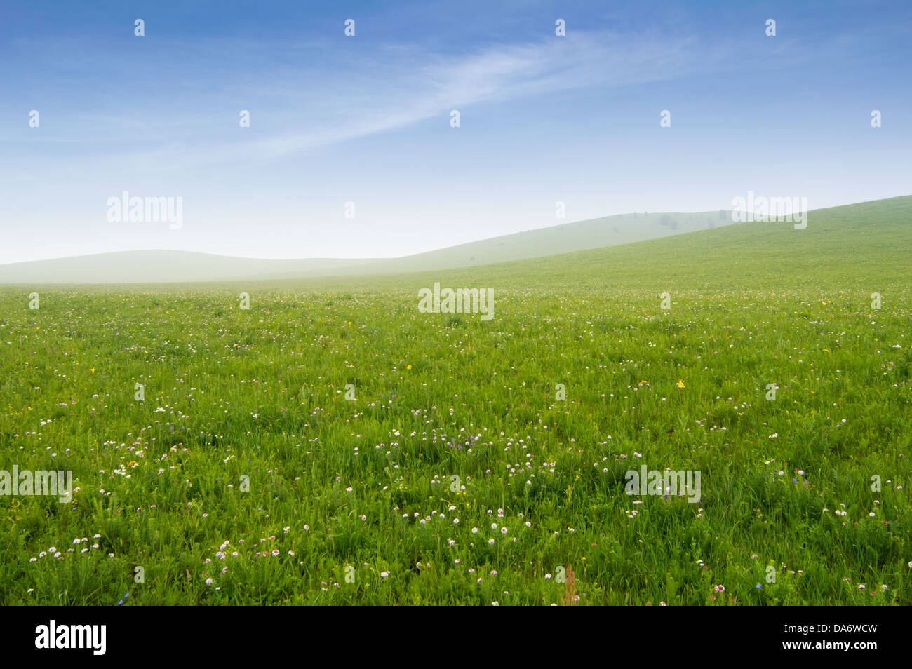 Summer grass field and sunlight in blue sky Stock Photo - Alamy