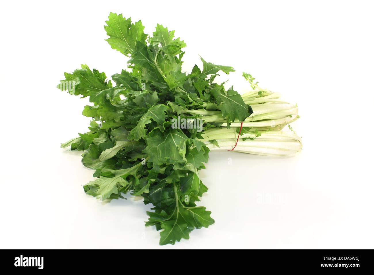a bunch turnip greens on a white background Stock Photo - Alamy