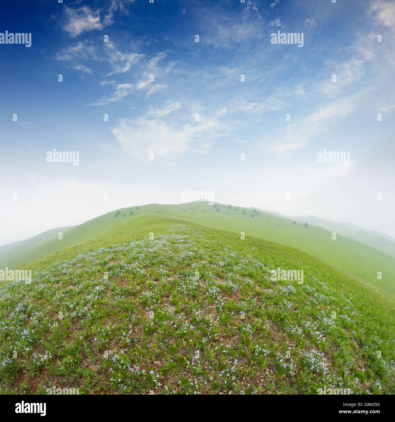 Summer grass field and sunlight in blue sky Stock Photo