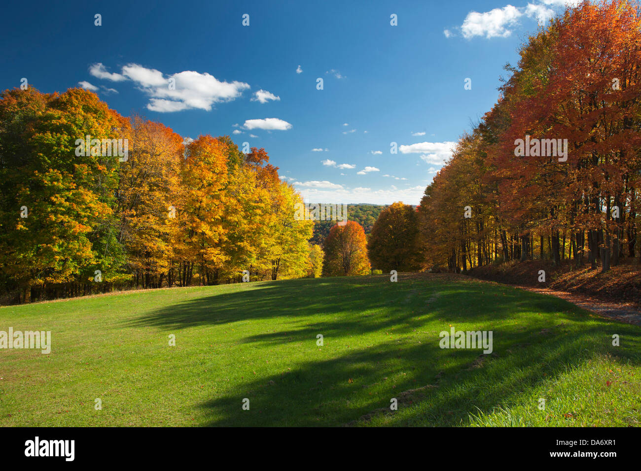FALL FOLIAGE FOXBURG CLARION COUNTY PENNSYLVANIA USA Stock Photo Alamy