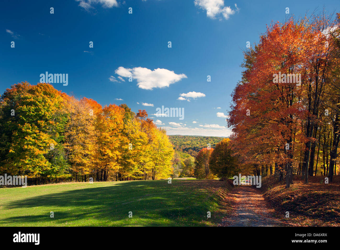 FALL FOLIAGE FOXBURG CLARION COUNTY PENNSYLVANIA USA Stock Photo Alamy