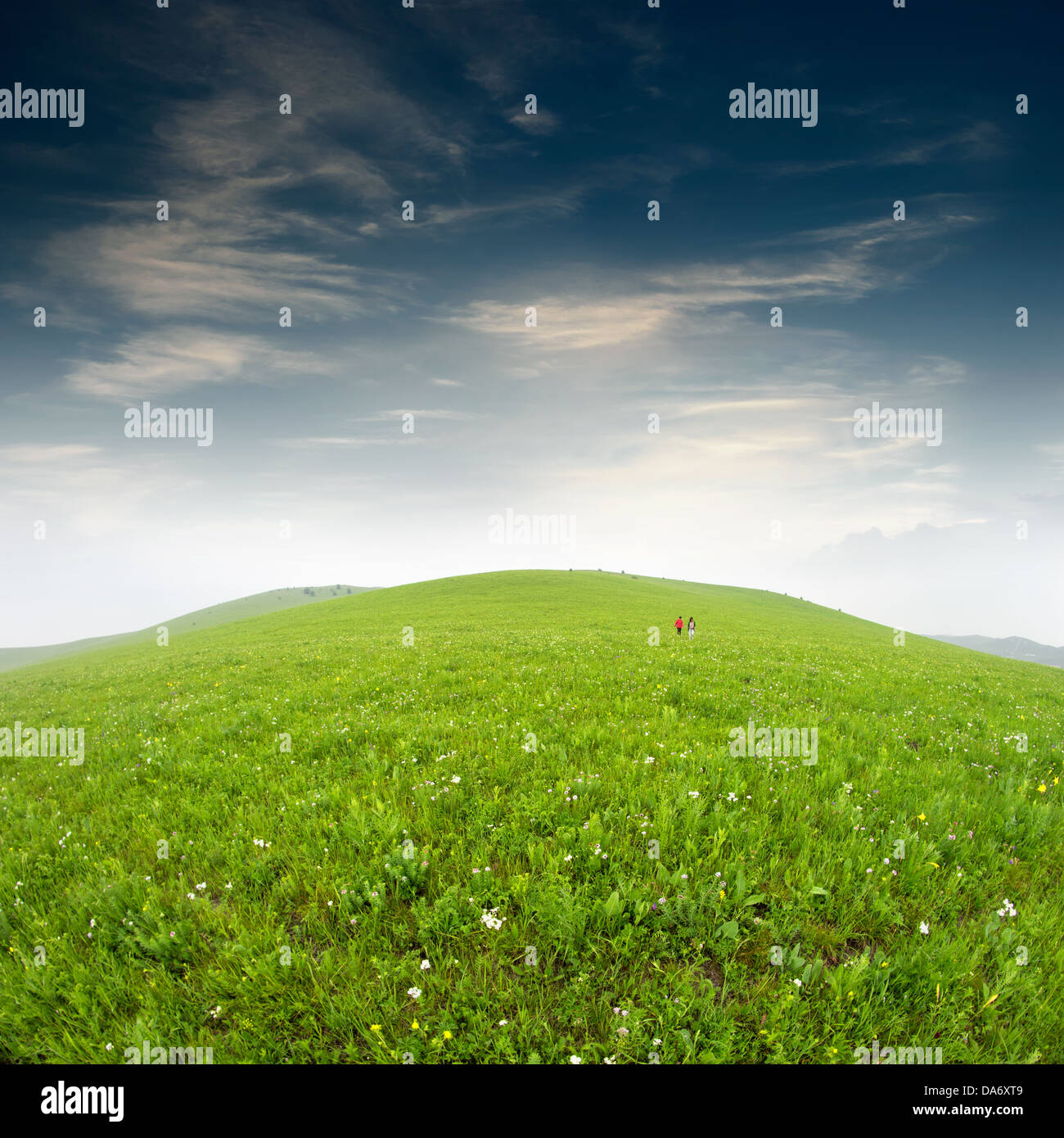 Fresh spring green grass with blue sky and wood floor background Stock ...