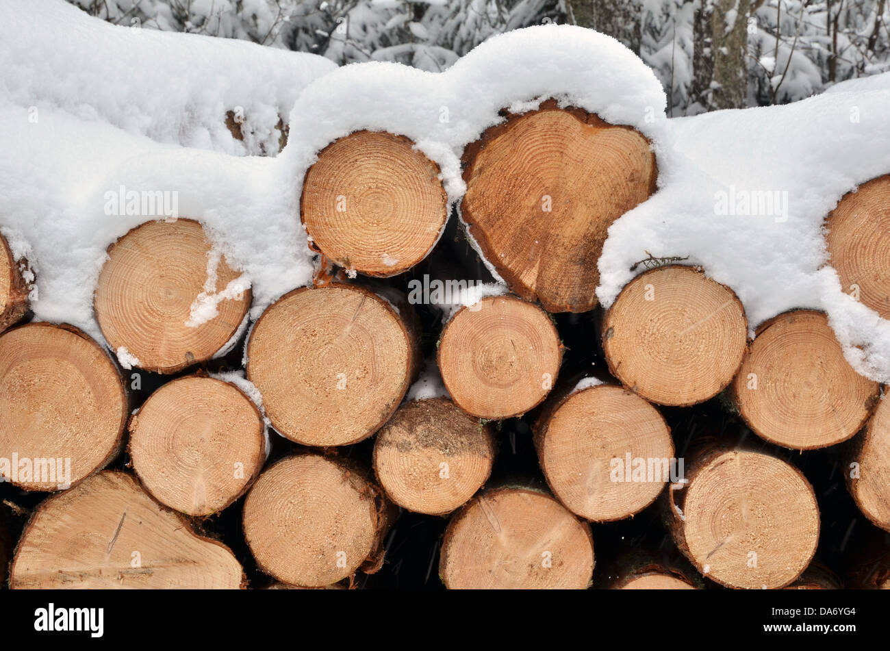 Snow on the timber stack Stock Photo - Alamy
