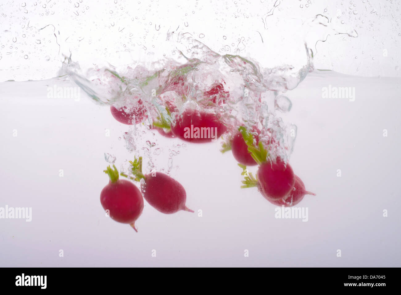 Radishes in water Stock Photo Alamy
