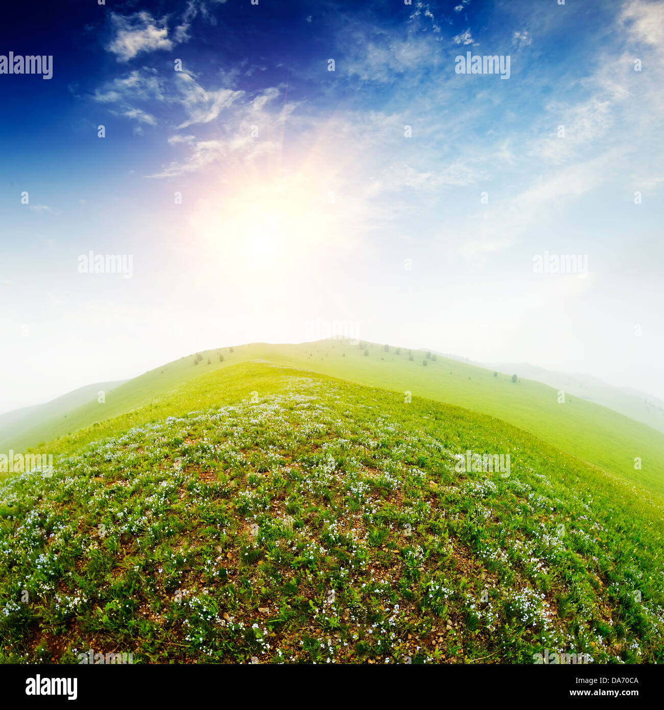 Fresh spring green grass with blue sky and wood floor background Stock ...