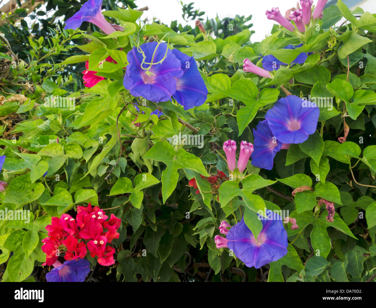Provinz hatay hi-res stock photography and images - Alamy