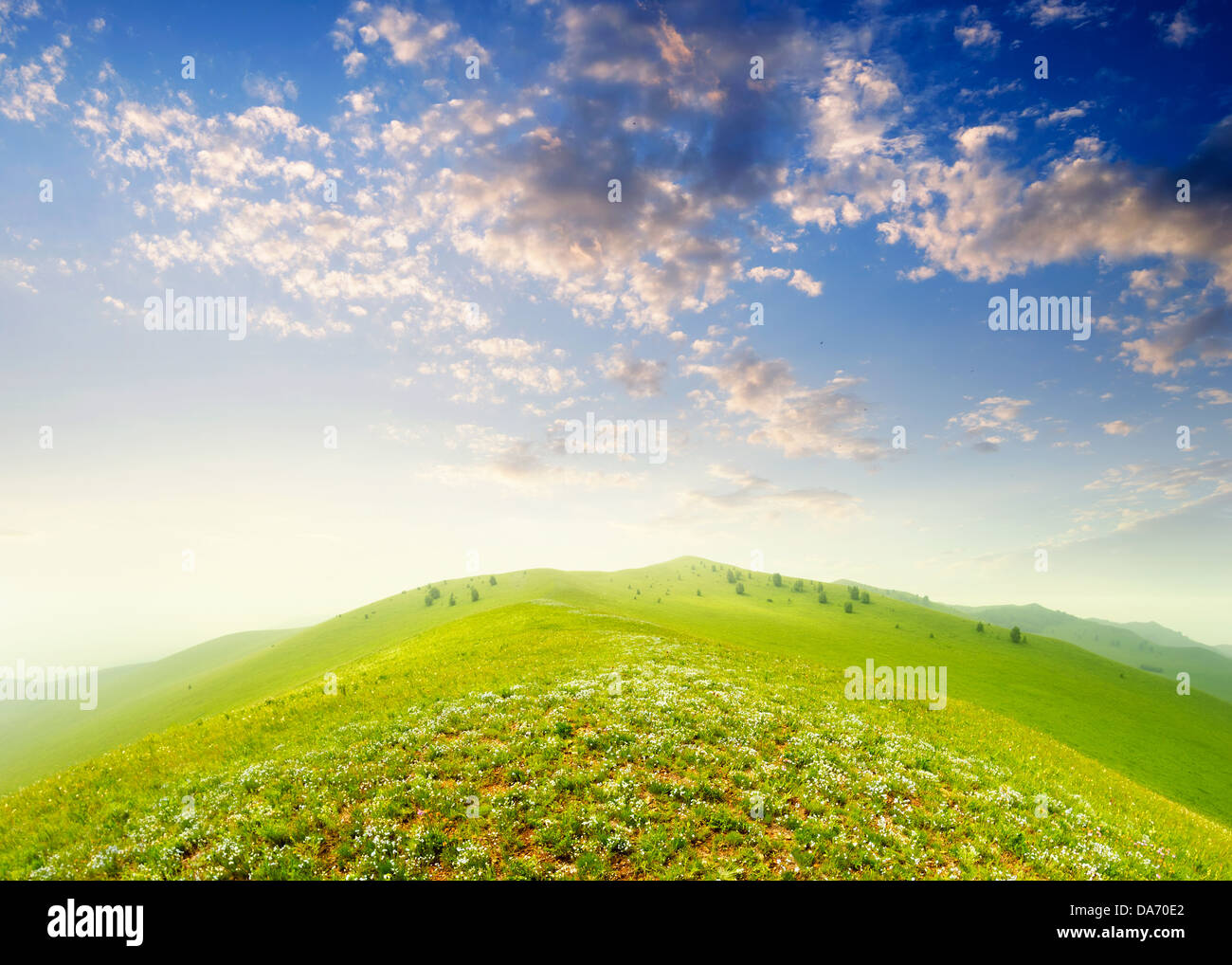 Fresh spring green grass with blue sky and wood floor background Stock ...