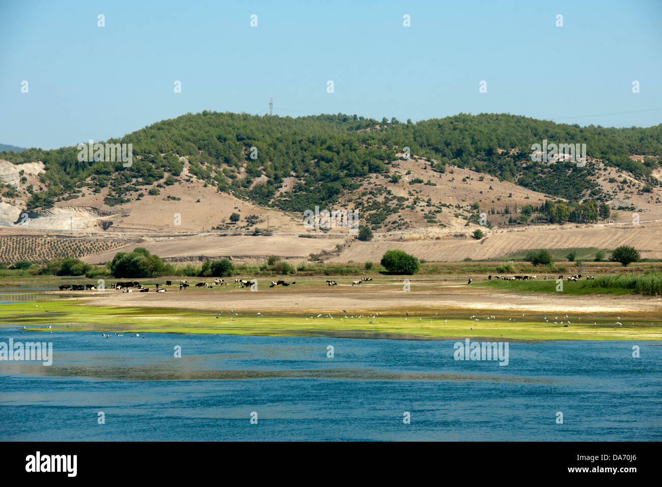 Turkei Provinz Osmaniye Aslantas Stausee Vom Fluss Ceyhan Nehri Im Karatepe Aslantas Nationalpark Stock Photo Alamy