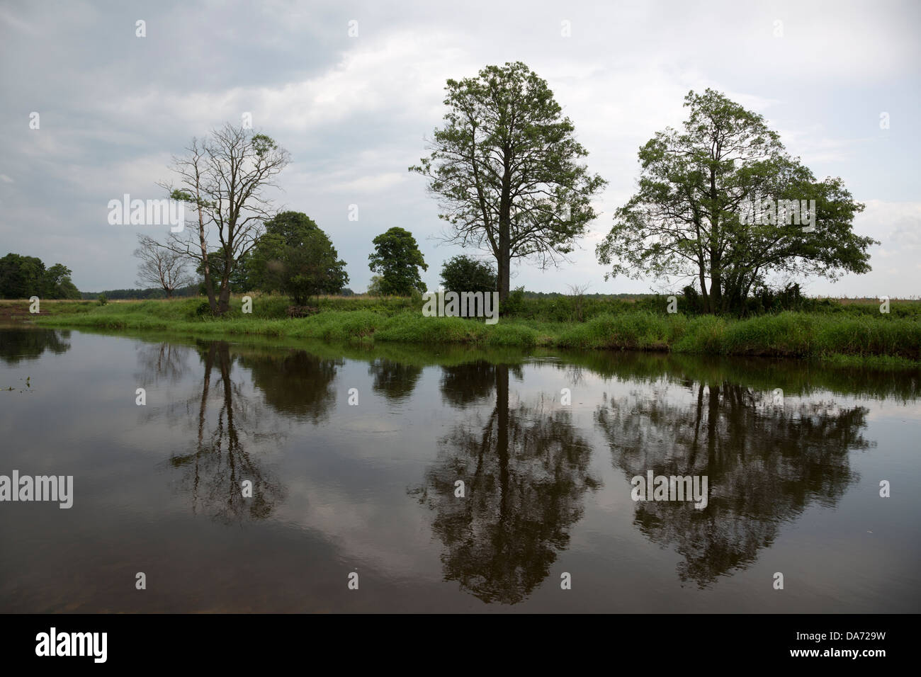 Liwiec river in Poland Stock Photo